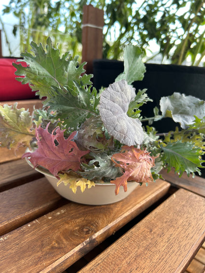 Bowl of green, pink and orange argula leafs on a wooden surface.