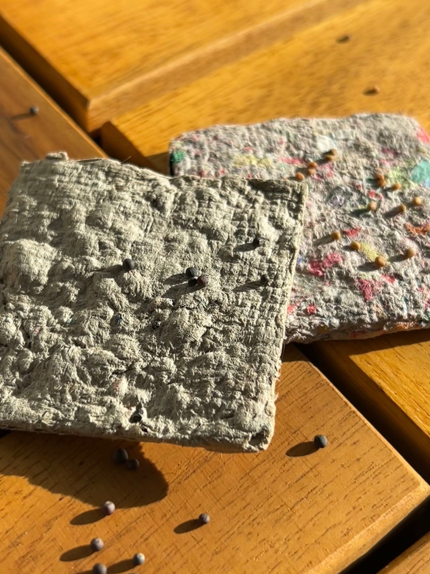Two square shaped pieces of seed paper with black and brown seeds.