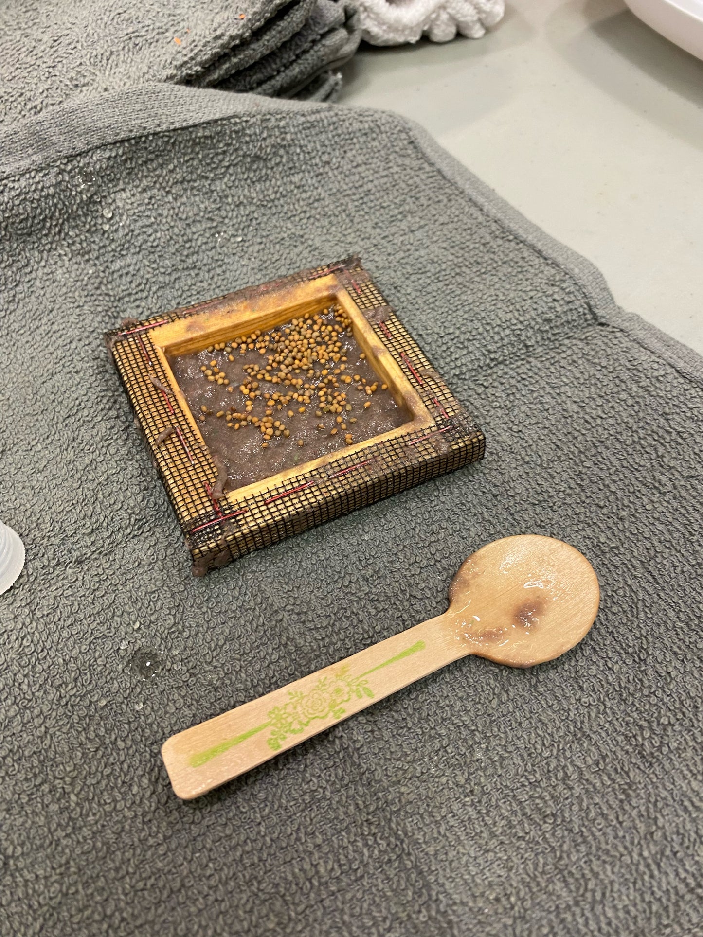 Seed Paper Saturdays Garden Workshop
