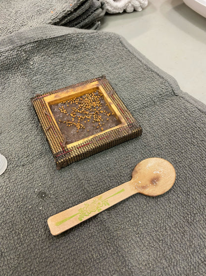 Seed Paper Saturdays Garden Workshop