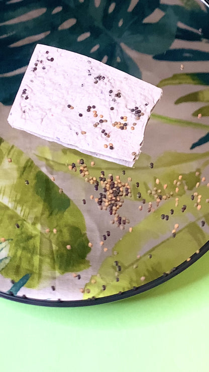 Seed Paper Saturdays Garden Workshop